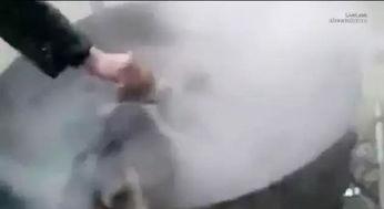 开水虐狗视频大全,揭示人性黑暗面